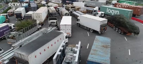 車暢人旺，港珠澳大橋經(jīng)貿(mào)通道正崛起