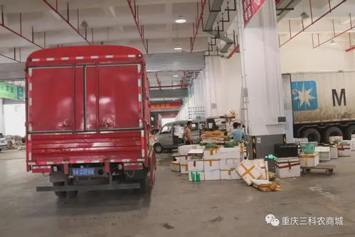 風雨同舟，共抗疫情——三科農(nóng)商城為重慶抗疫加油，與大家共渡難關