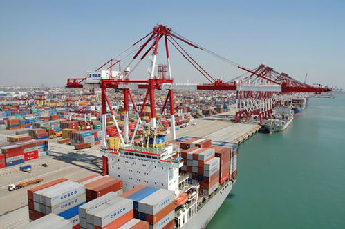 出口退運那些事 貨物進出口中的常見問題與應對策略