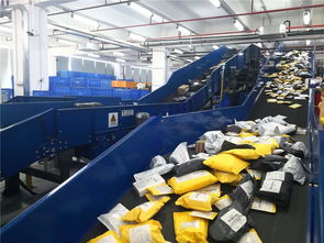 東莞制造乘跨境電商東風(fēng)，貨物進(jìn)出口實現(xiàn)跨越式增長