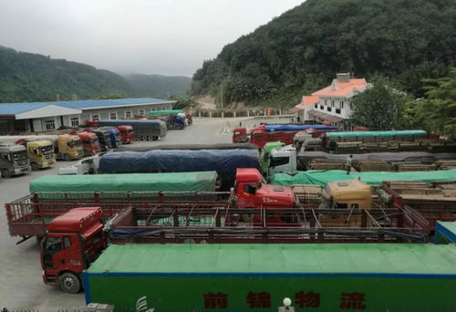 關累港口聯合黨工委 以國門黨建固邊興邊 促邊境發展繁榮穩定 助力貨物進出口騰飛