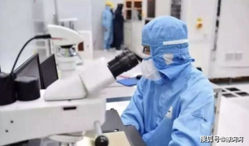 冠狀病毒的極易傳播性與計(jì)算機(jī)產(chǎn)品銷售業(yè)績危機(jī)